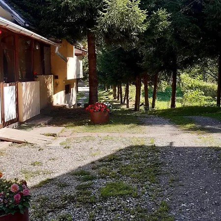 Bed & Breakfast Complex Turistic Roua Muntilor Vila 1