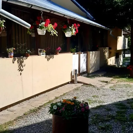 Bed & Breakfast Complex Turistic Roua Muntilor Vila 1 Podu Dimbovitei