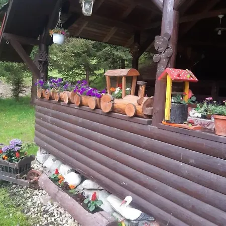 Bed & Breakfast Complex Turistic Roua Muntilor Vila 1 *
