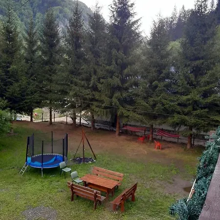 Complex Turistic Roua Muntilor Vila 1 Bed & Breakfast Podu Dimbovitei